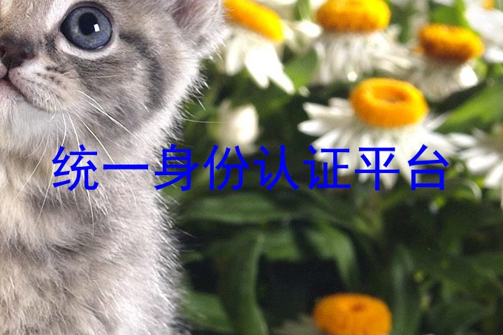 统一身份认证平台