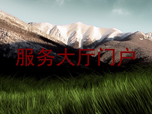 服务大厅门户