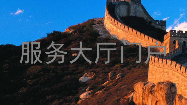 服务大厅门户
