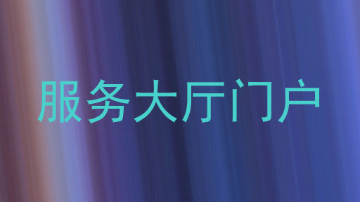 服务大厅门户