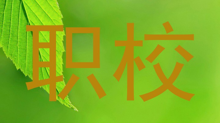 职校