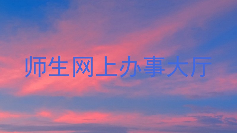 师生网上办事大厅