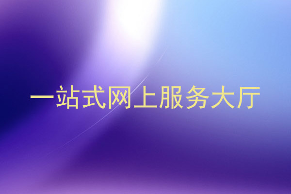 一站式网上服务大厅