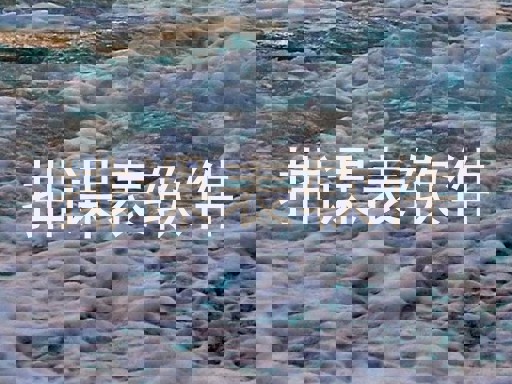 排课表软件