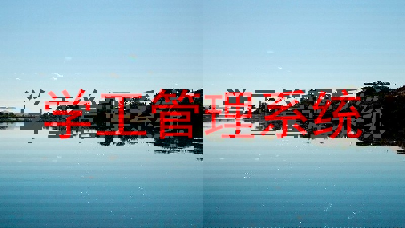 学工管理系统