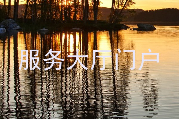 服务大厅门户