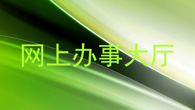 网上办事大厅