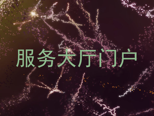 服务大厅门户