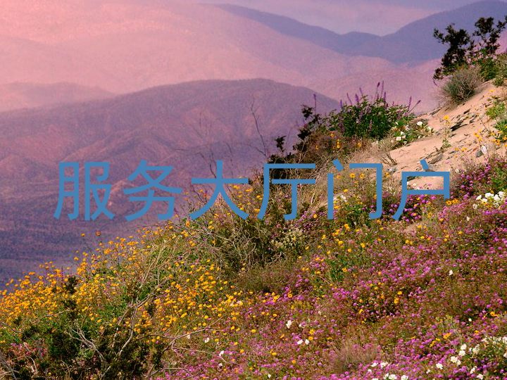 服务大厅门户