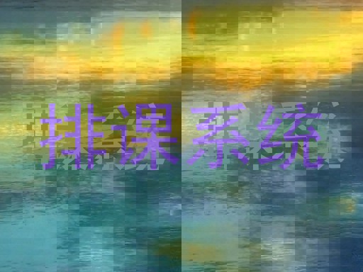 排课系统