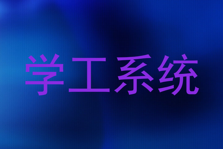学工系统