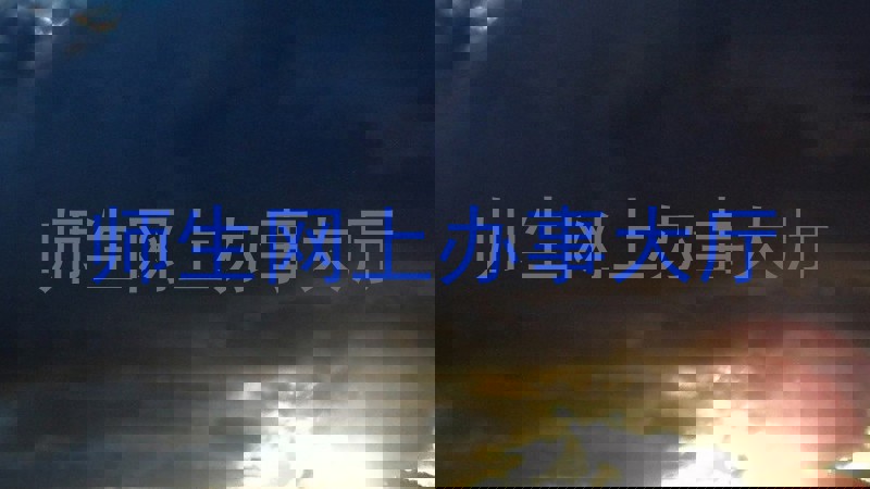 师生网上办事大厅