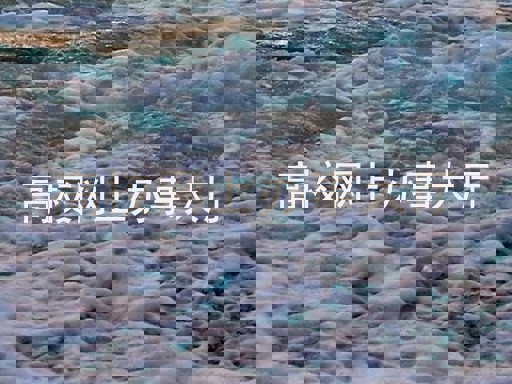 高校网上办事大厅