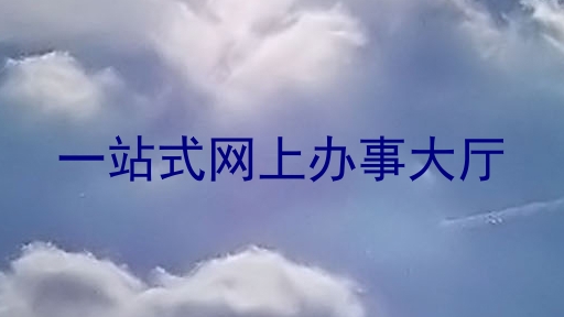 一站式网上办事大厅