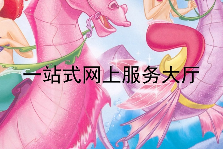 一站式网上服务大厅