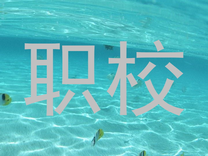 职校