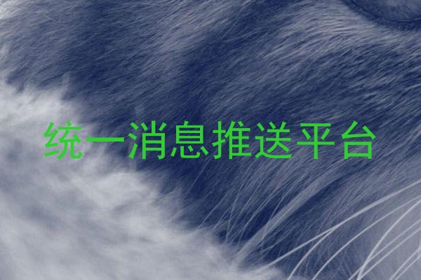 统一消息推送平台