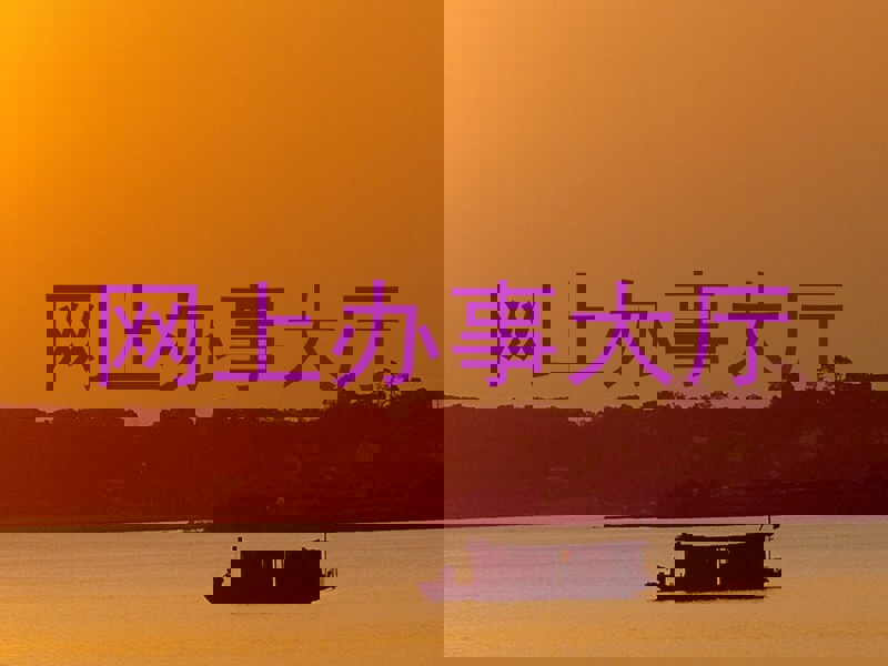 网上办事大厅