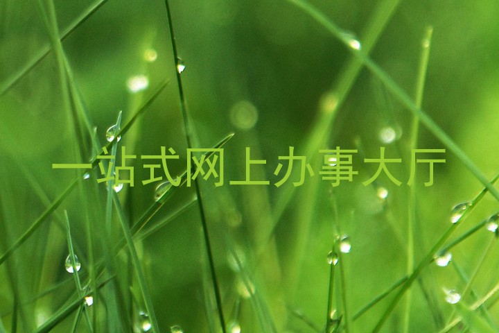 一站式网上办事大厅