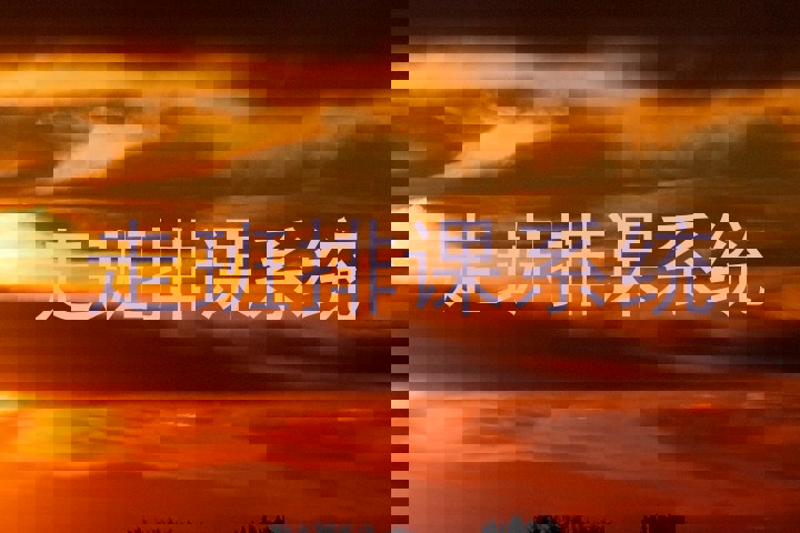 走班排课系统
