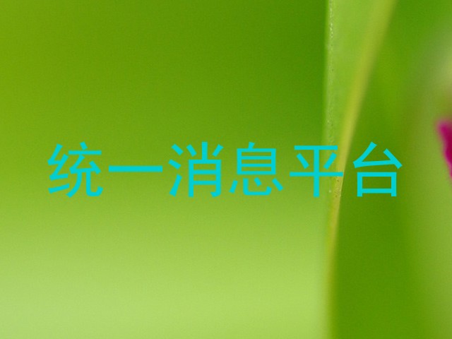 统一消息平台