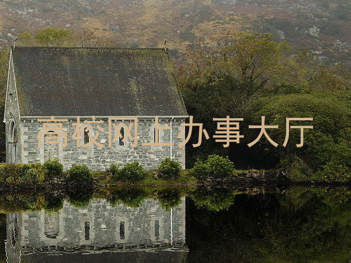 高校网上办事大厅