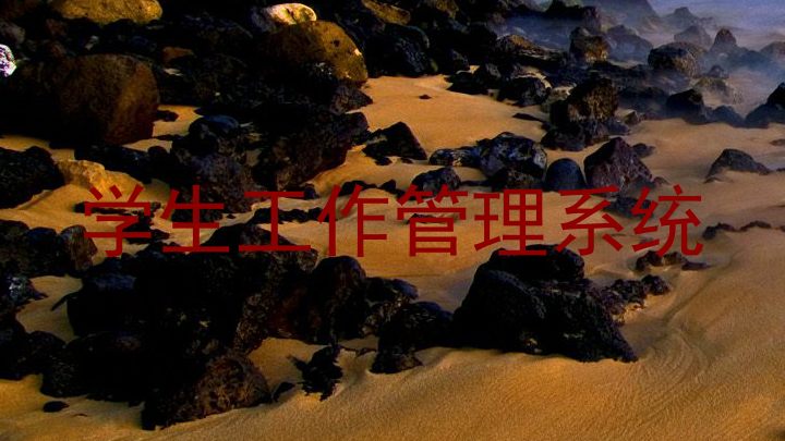 学生工作管理系统
