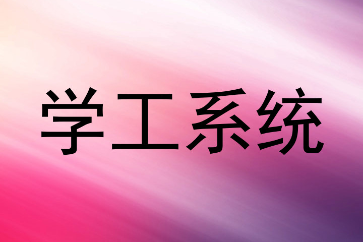 学工系统