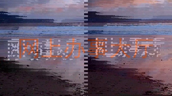 网上办事大厅