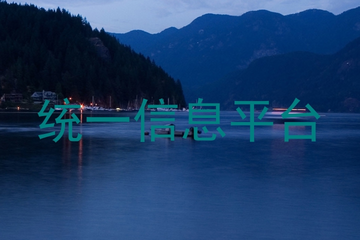 统一信息平台