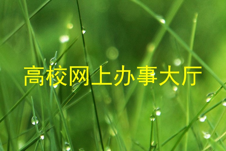 高校网上办事大厅