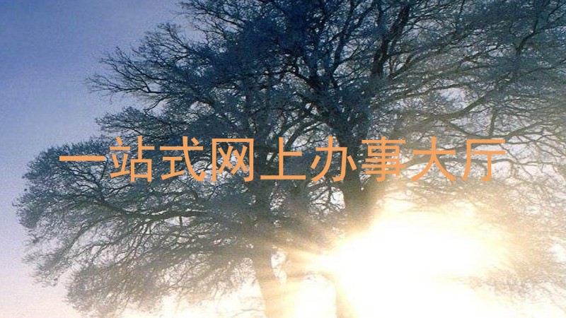 一站式网上办事大厅