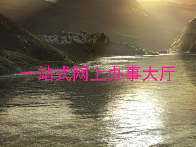 一站式网上办事大厅