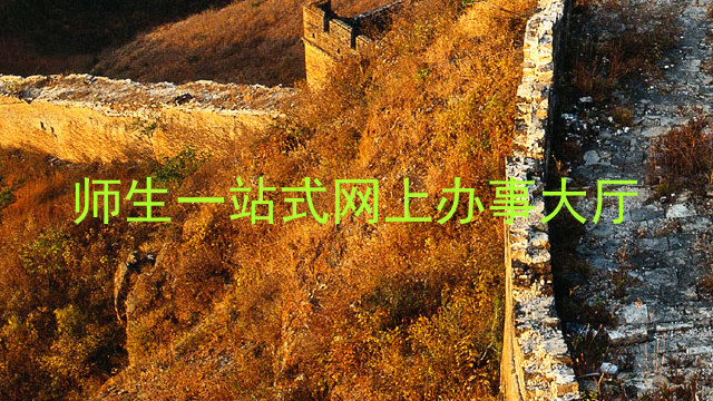 师生一站式网上办事大厅