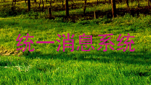 统一消息系统