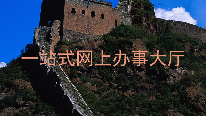 一站式网上办事大厅