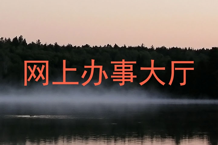 网上办事大厅