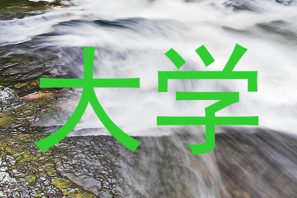 大学