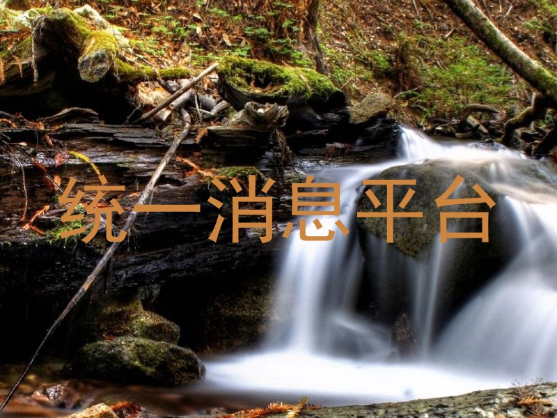 统一消息平台