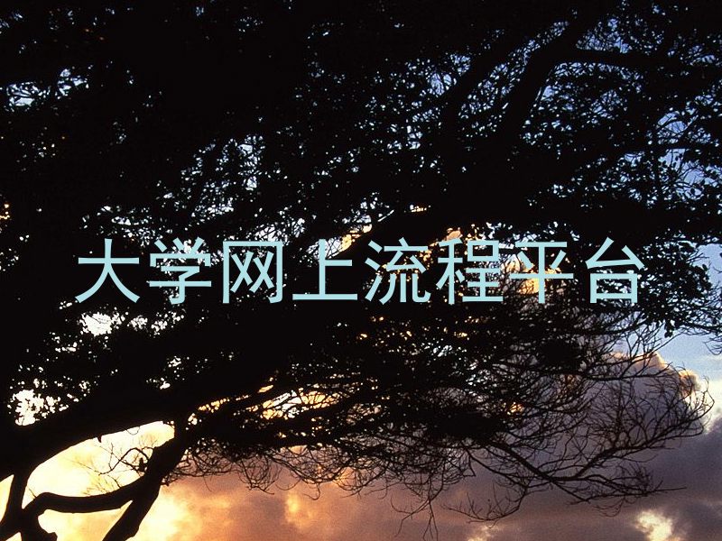 大学网上流程平台