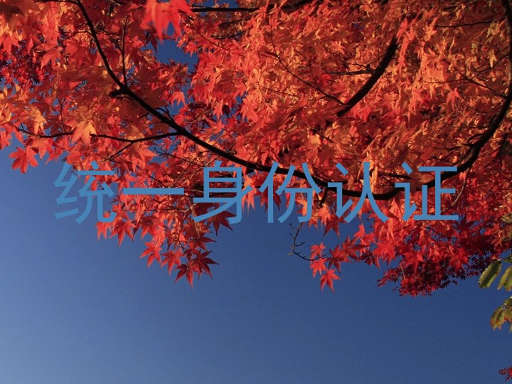 统一身份认证