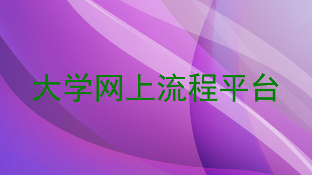 大学网上流程平台