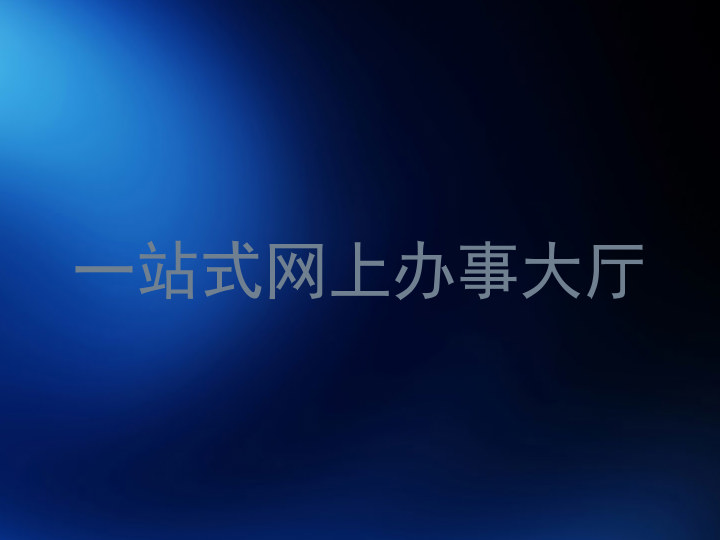 一站式网上办事大厅