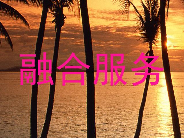 融合服务