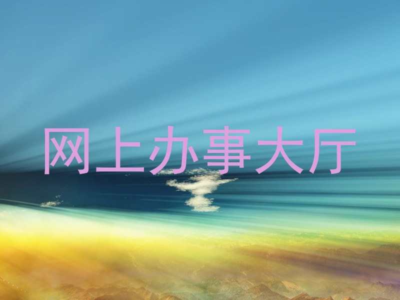 网上办事大厅