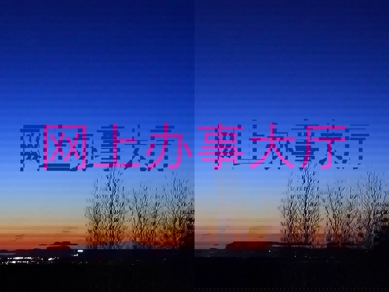 网上办事大厅