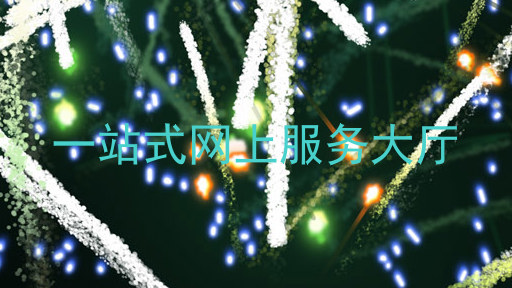 一站式网上服务大厅