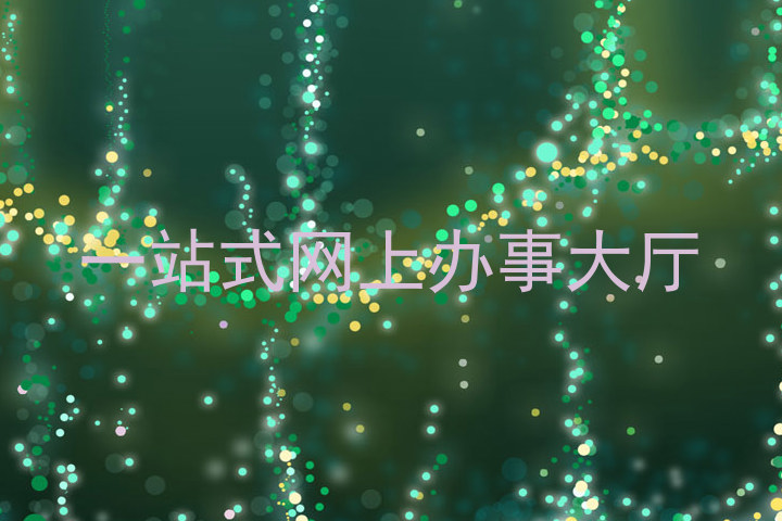 一站式网上办事大厅