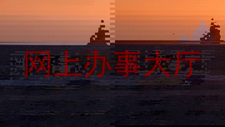 网上办事大厅