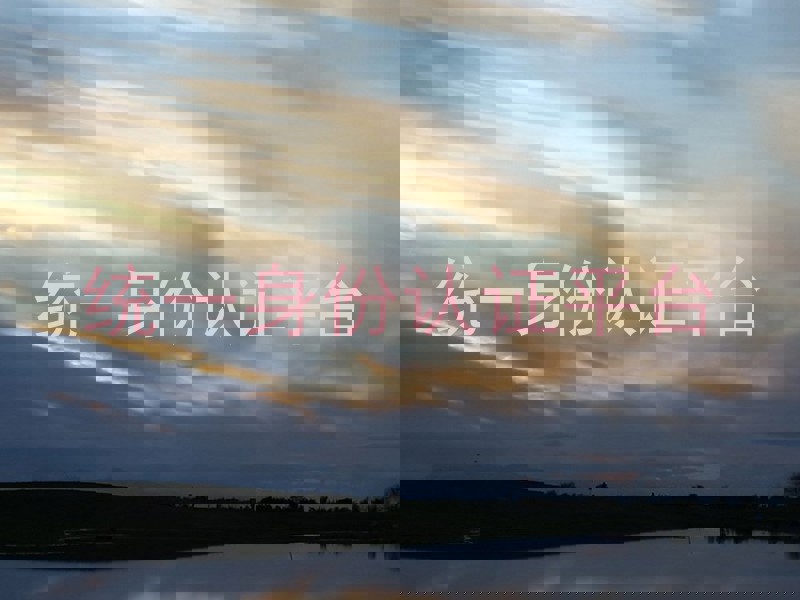 统一身份认证平台